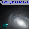 CXOU J123746.3+114958