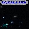RX J1236.4+1259