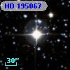 HD 195067