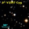 V* V1047 Cyg