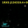 1RXS J124319.4+090030