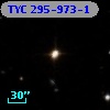 TYC  295-973-1