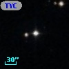 TYC  874-826-1