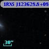 1RXS J123628.8+080321