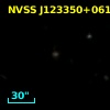 NVSS J123350+061003