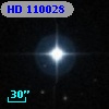 HD 110028