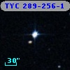 TYC  289-256-1