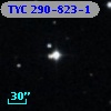 TYC  290-823-1