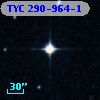 TYC  290-964-1