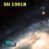 SN 1981B