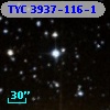 TYC 3937-116-1