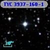 TYC 3937-160-1