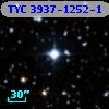 TYC 3937-1252-1