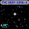 TYC 3937-1356-1