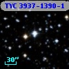 TYC 3937-1390-1