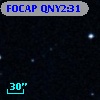FOCAP QNY2:31
