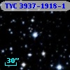 TYC 3937-1918-1
