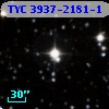 TYC 3937-2181-1