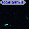 FOCAP QNY4:46