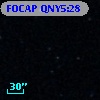 FOCAP QNY5:28