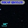 FOCAP QNY5:29