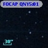 FOCAP QNY5:01