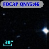FOCAP QNY5:46