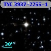 TYC 3937-2255-1