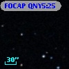 FOCAP QNY5:25