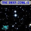 TYC 3937-2286-1