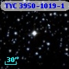 TYC 3950-1019-1