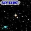 NSV 13107