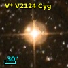 V* V2124 Cyg