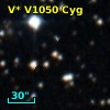 V* V1050 Cyg