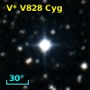 V* V828 Cyg