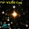 V* V1202 Cyg