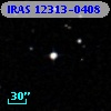 IRAS 12313-0408