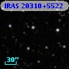IRAS 20310+5522