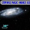[TP95] NGC  4602 135