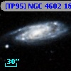 [TP95] NGC  4602 186