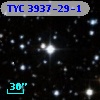 TYC 3937-29-1