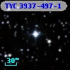 TYC 3937-497-1