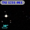 TXS 1231-061