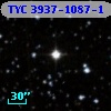 TYC 3937-1087-1