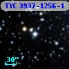 TYC 3937-1256-1