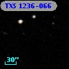 TXS 1236-066