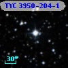 TYC 3950-204-1