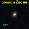 2MASX J12390398-0602099