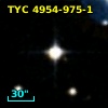 TYC 4954-975-1