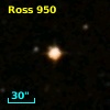 Ross  950